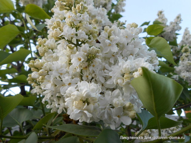DSCN0584.jpg