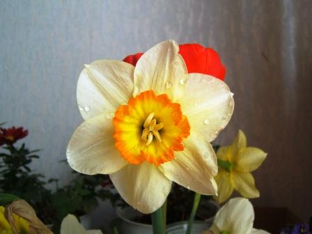 DSCF2419.JPG