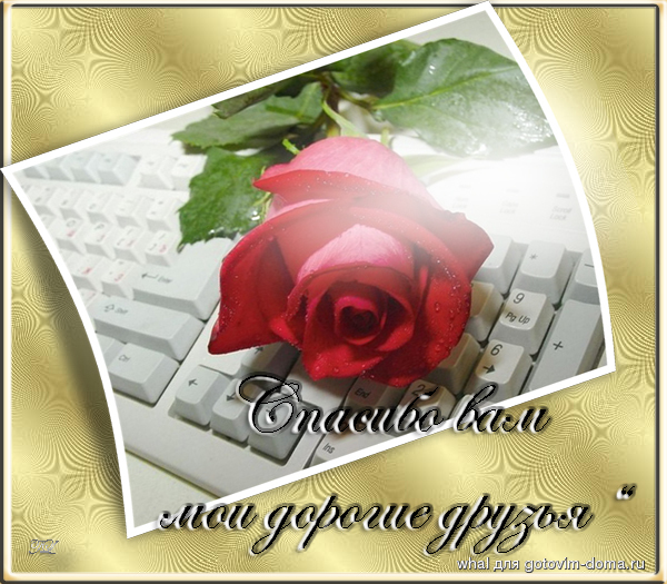 45835728_fcd1e7ac0a6a.jpg