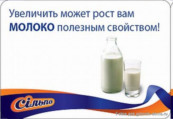 silpo_17.jpg