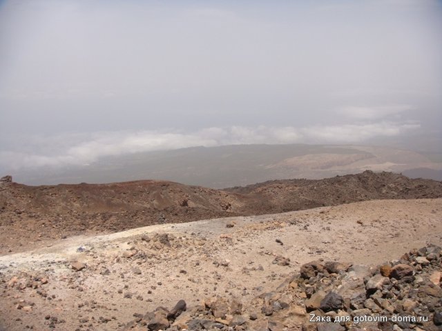 DSC05684.JPG