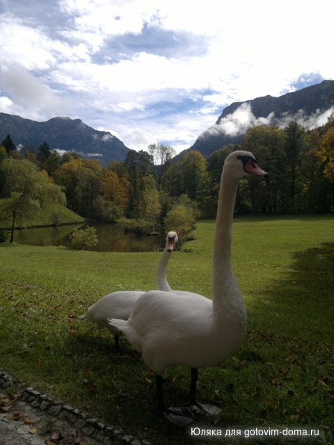 2012-10-11-797.jpg