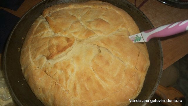 IMG_20161105_130133_81.jpg