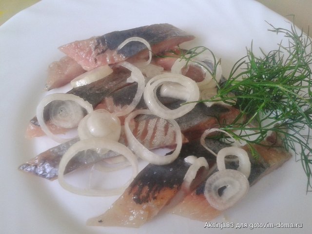 20140721_142813.jpg