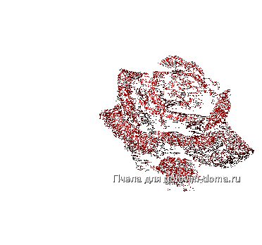 af_047.gif