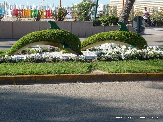 P1010533.JPG