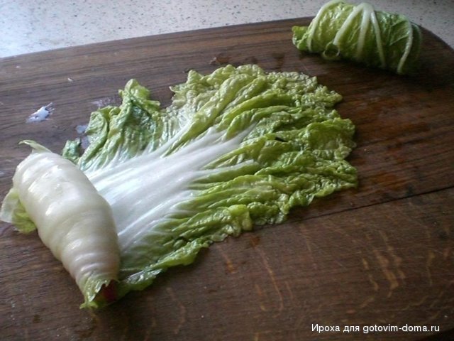капуста 2.JPG