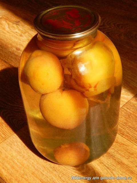 DSCN0184.jpg