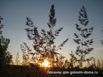 01 069.jpg