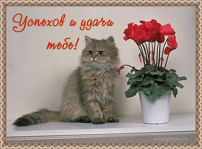 fe82d0c993cb uspehov.gif