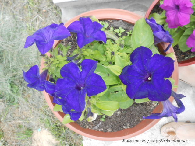 DSCN0104.JPG