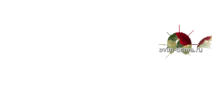 59167562_54935436_54860348_d4c61cb6aa281[1].gif