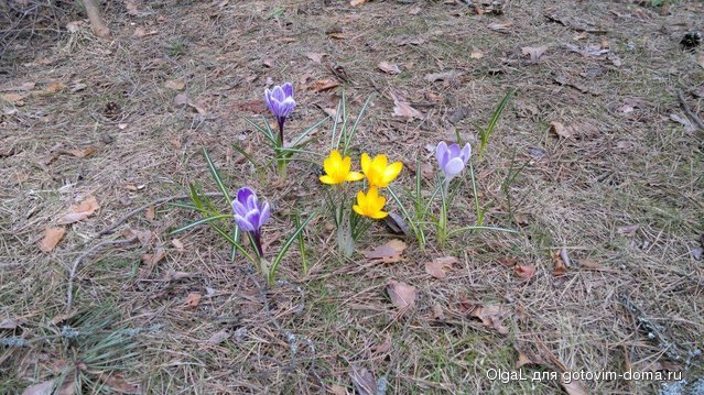 2013-05-03-623.jpg