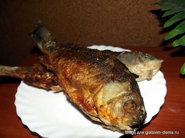 DSCF8932.jpg