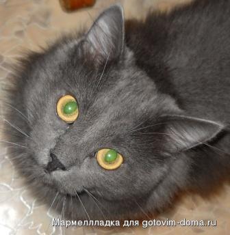 DSCN0009.jpg