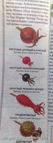246.jpg