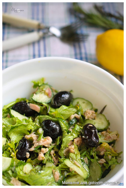 salat-s-tuncom1.jpg