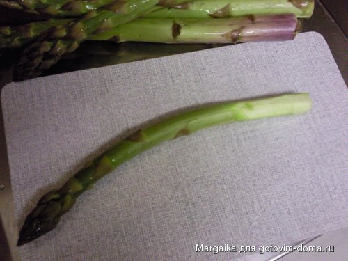 Foto_02.jpg
