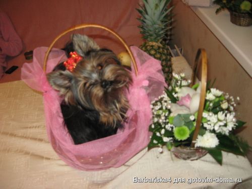 в корзинке.jpg