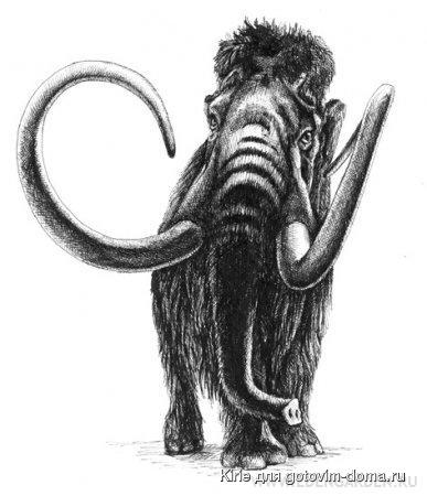 1231355852_mamont41.jpg