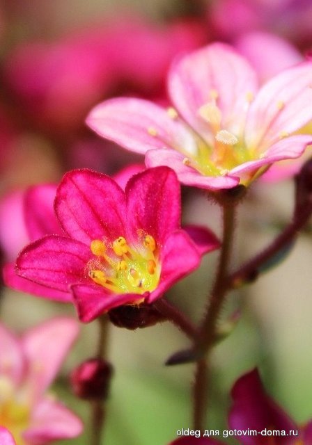 2013_05_05_0113.jpg