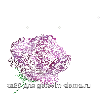 с бабач.gif