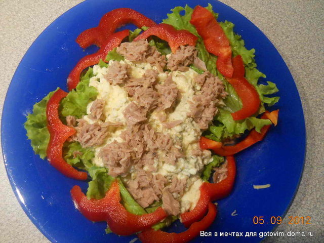 DSCN2405.jpg
