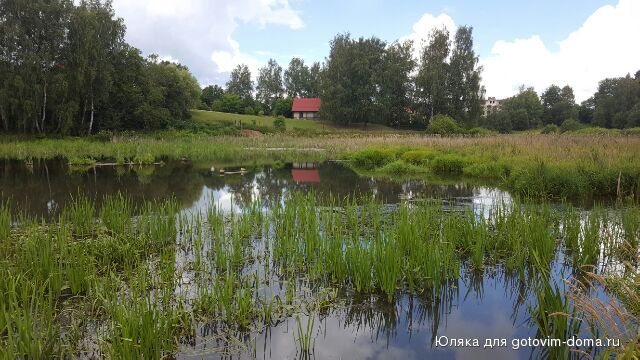 IMG_20160712_37549.jpg