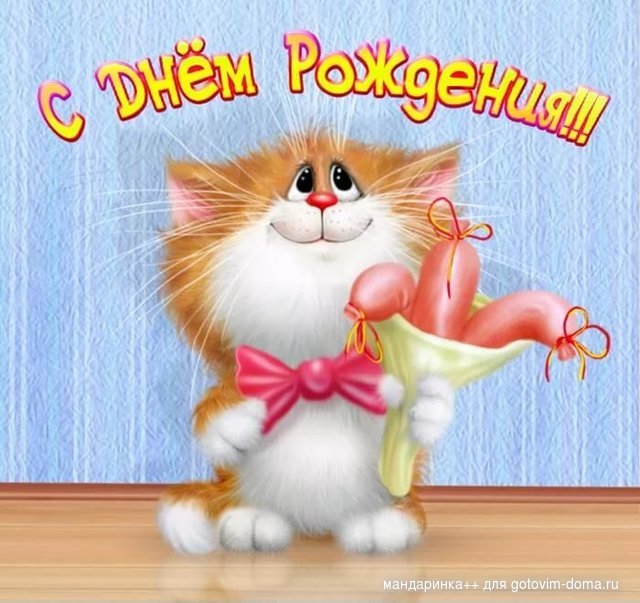 кот.jpg