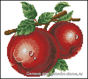 DOME Apple.jpg