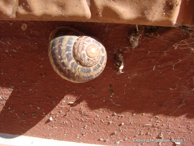 DSC01172.JPG