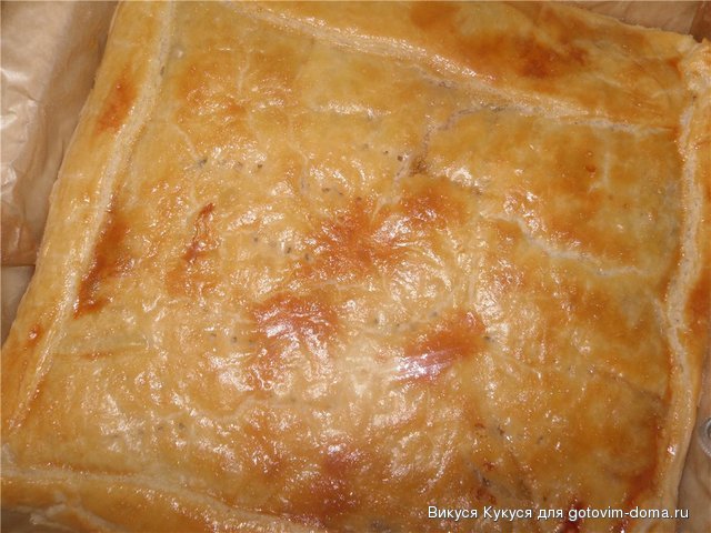 пирог мясн вид сверху1.jpg