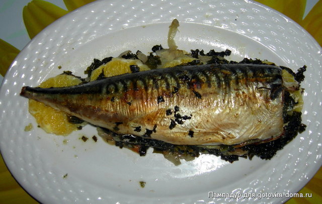 DSCN8921.JPG