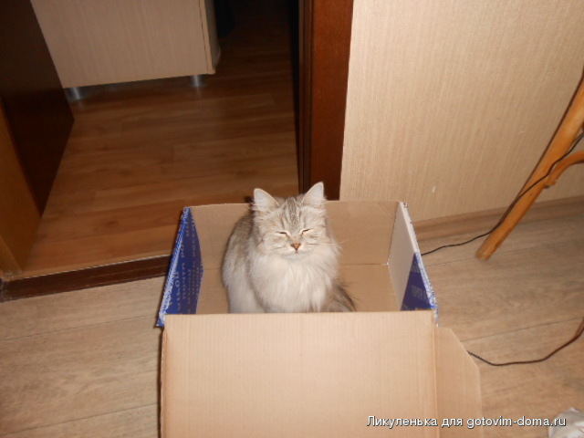 DSCN6715.JPG