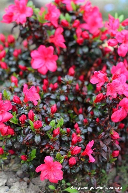 2013_05_15_1340.jpg