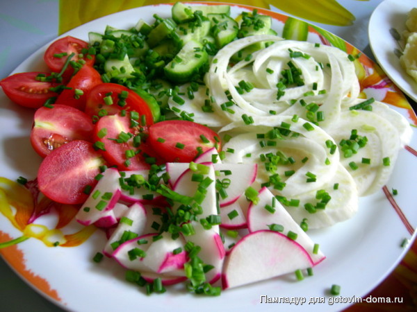 DSCN9398.JPG