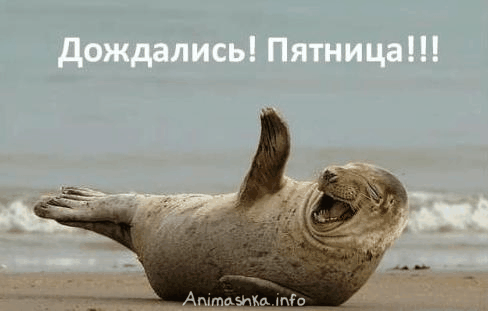 972093468.gif