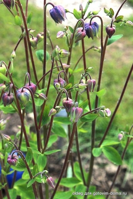 2014_04_20_9999_193.jpg