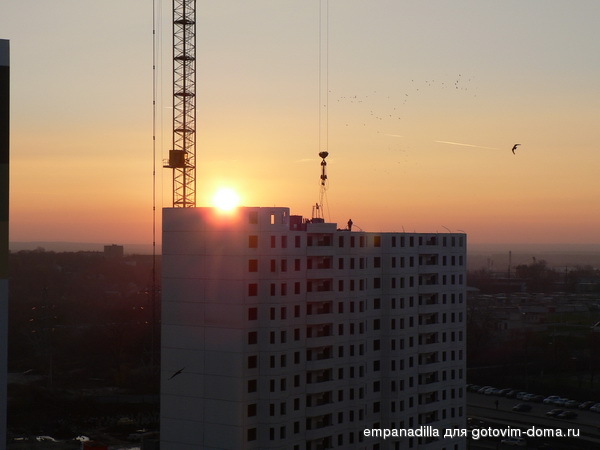 P1260586.jpg