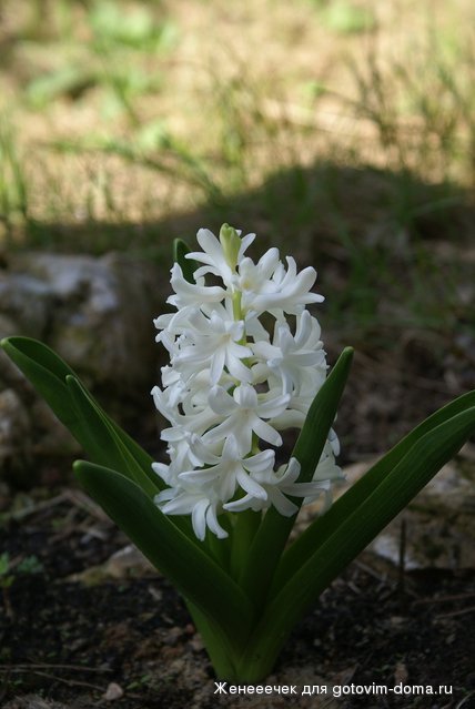 DSC04084.JPG
