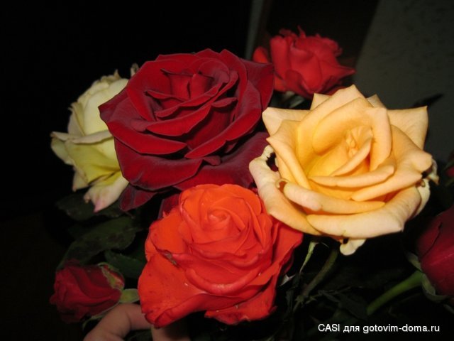 IMG_4574.JPG