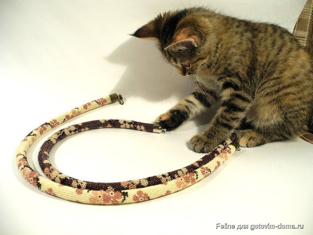 DSCN7747.JPG