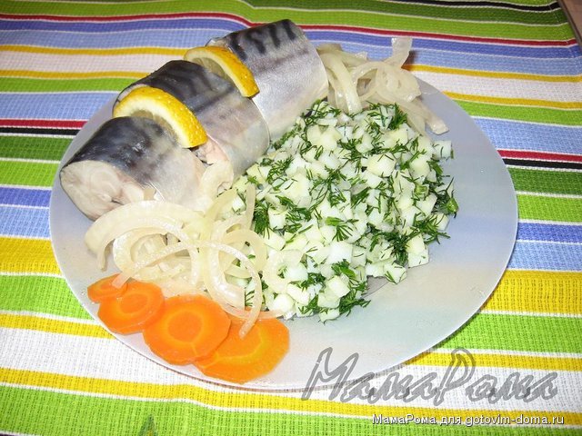 скумбрия 2.JPG