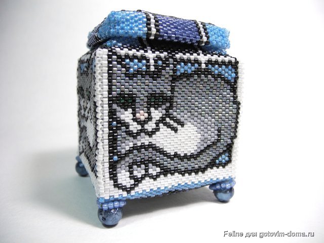 DSCN4433.JPG