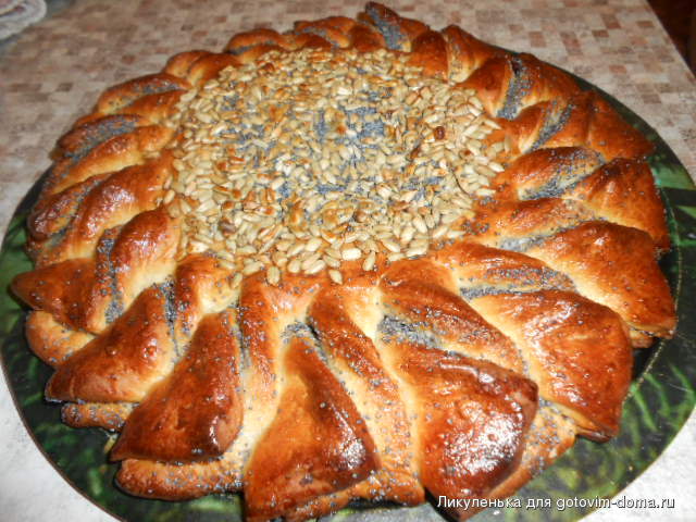 DSCN9779.JPG
