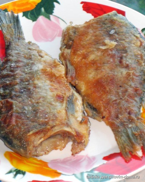 карасики.jpg