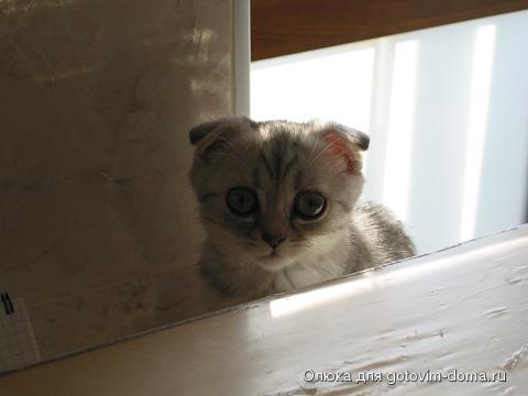IMG_5036 лапушок 5.JPG