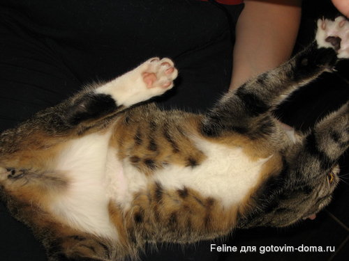 111 006_resize.jpg