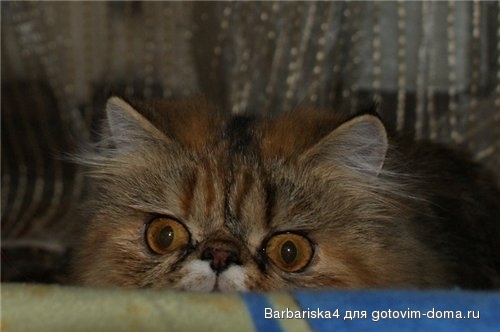там.jpg