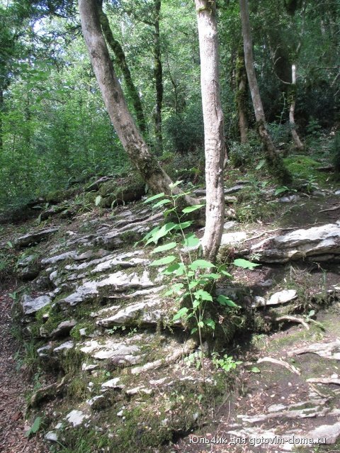 IMG_1999.JPG